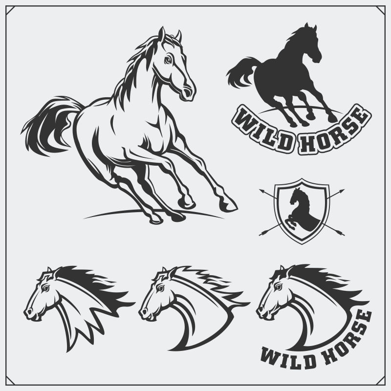 马纹章纹章体育俱乐部的标签标志和设计元素