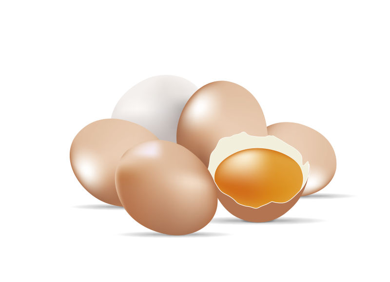 矢量创意新鲜鸡蛋设计元素