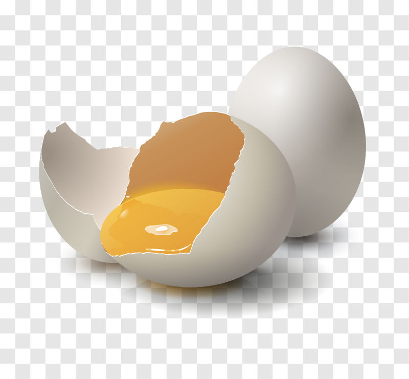 矢量创意现代打碎的鸡蛋设计插图
