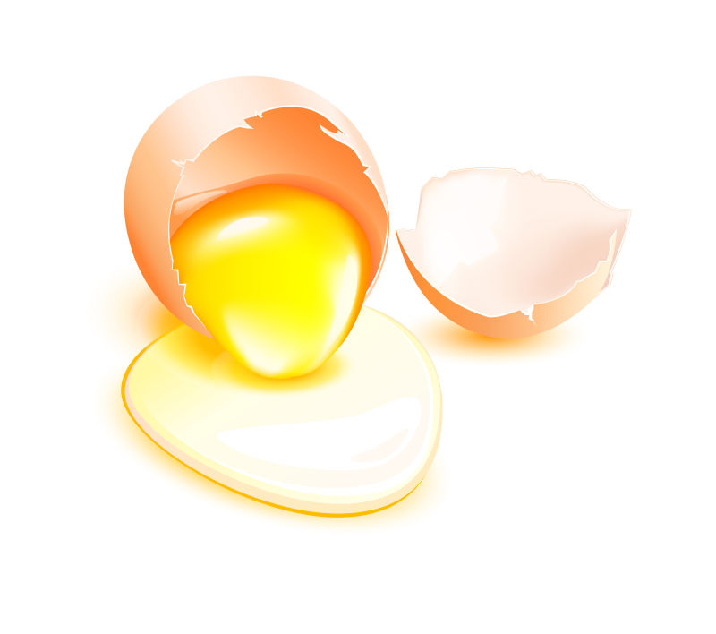 创意矢量现代打碎的鸡蛋设计插图
