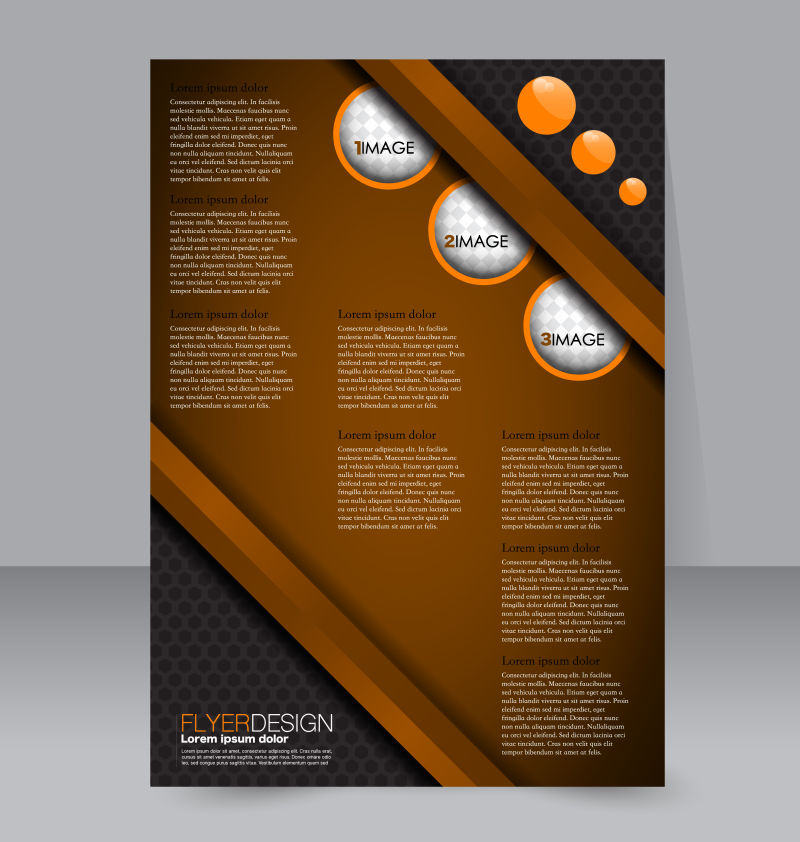 矢量现代抽象棕色商业宣传册封面设计