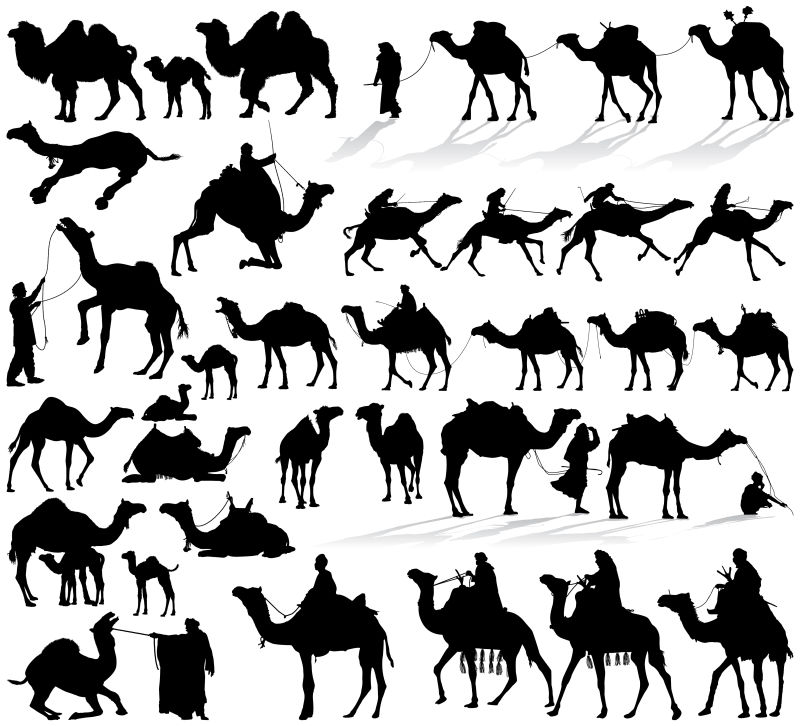 抽象矢量现代骆驼剪影插图设计