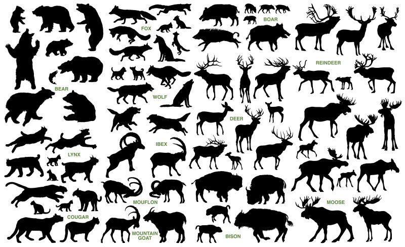 抽象矢量动物剪影插图设计