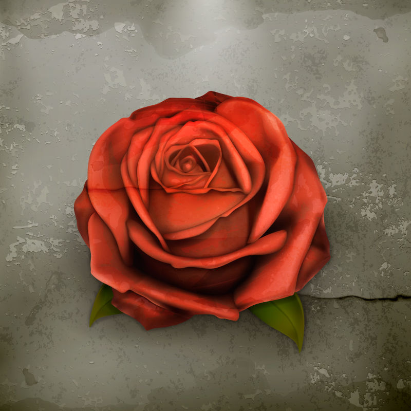 抽象矢量红色玫瑰设计插图