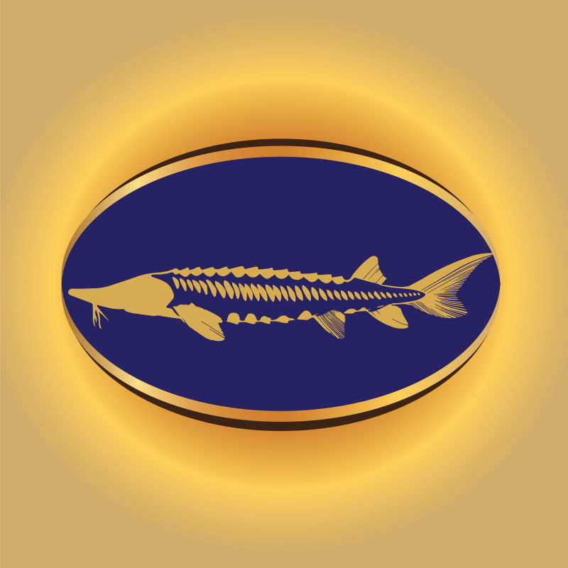 抽象矢量现代金色鳟鱼标志设计