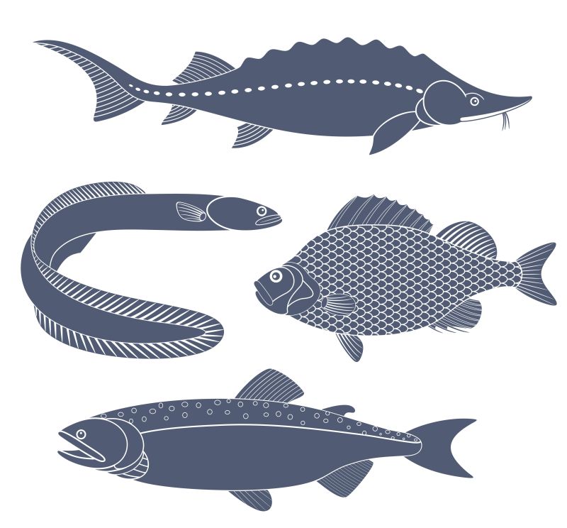 抽象矢量现代鳟鱼图标设计