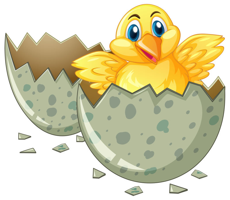 创意矢量孵化的鸡蛋设计插图