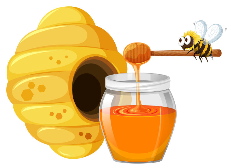 矢量蜜蜂和蜂蜜插图设计