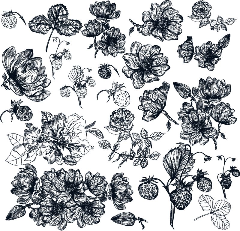 用黑色墨水手工绘制的一套不同的春天花和植物