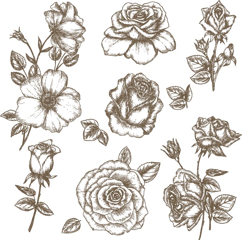 创意矢量古典风格的素描花朵插图