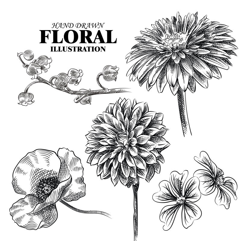 抽象矢量现代素描花朵设计插图