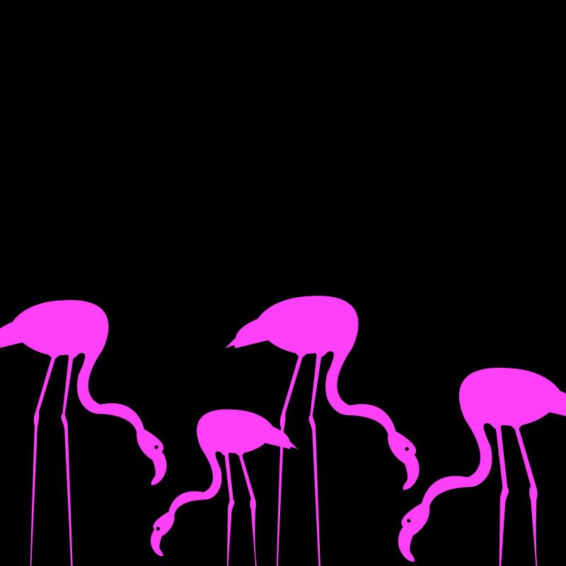 矢量创意现代粉色火烈鸟元素插图设计