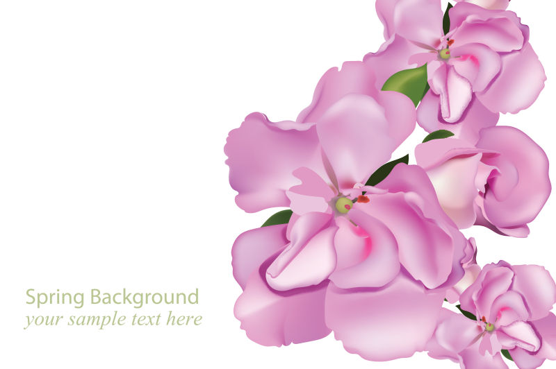 矢量抽象现代粉色兰花设计插图