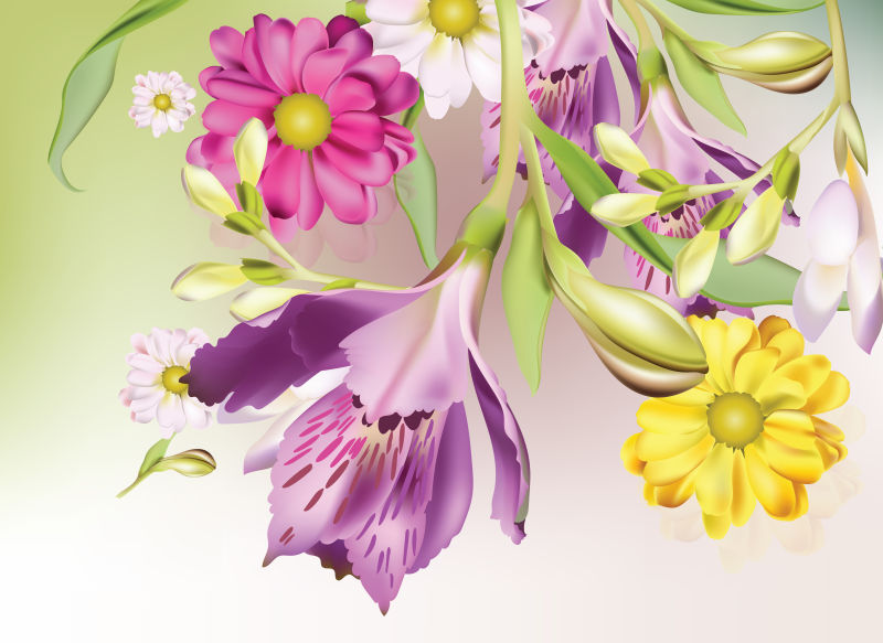 抽象矢量现代精致的花卉设计插图