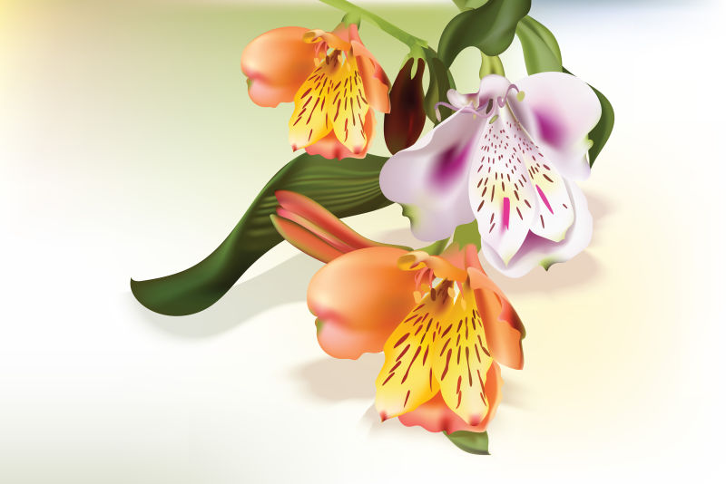 创意矢量现代彩色花卉设计插图