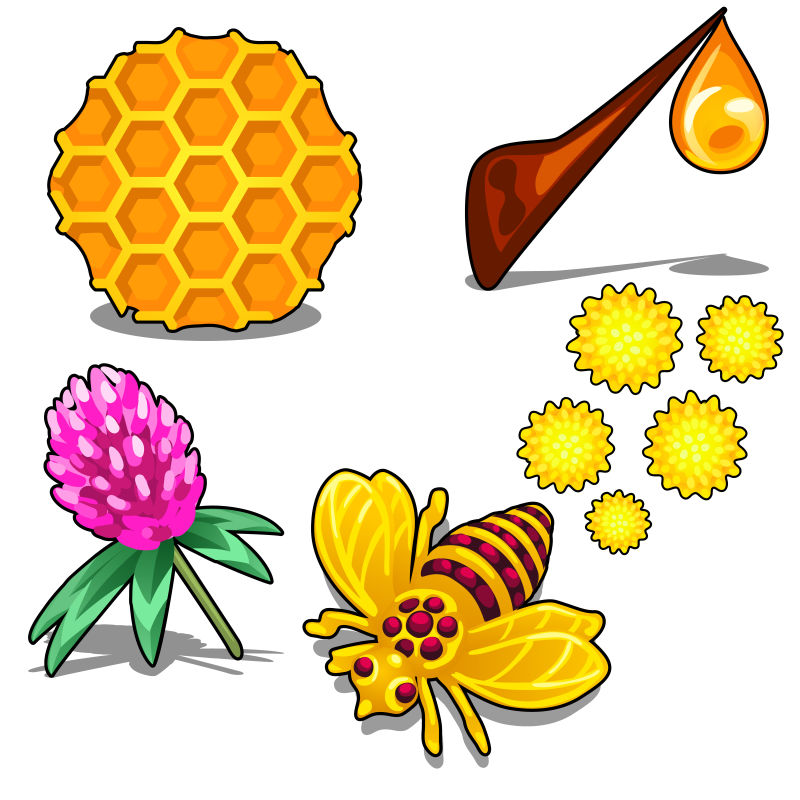 抽象矢量蜂蜜元素美食设计插图