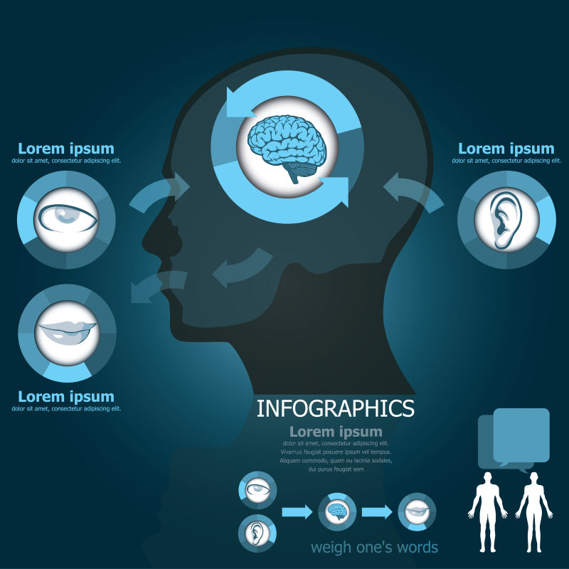 创意矢量现代人体大脑元素信息图表设计