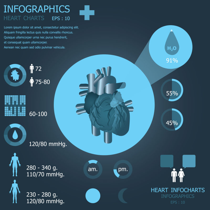 创意矢量现代心脏元素的信息图表设计