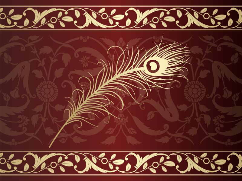 抽象矢量装饰风格的孔雀羽毛插图设计