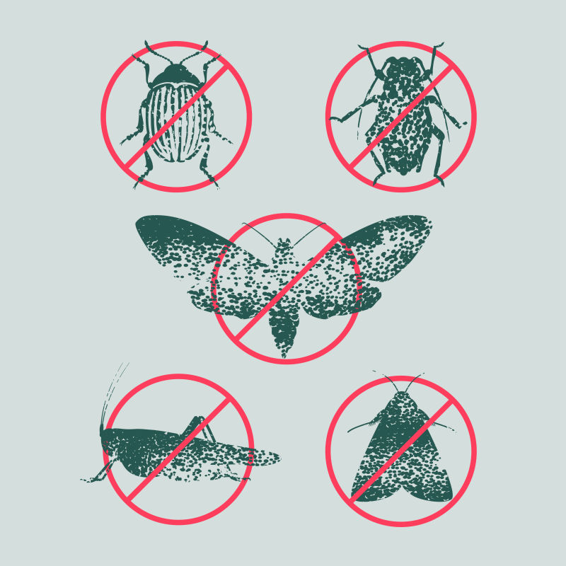 抽象矢量现代害虫防治主题海报平面设计
