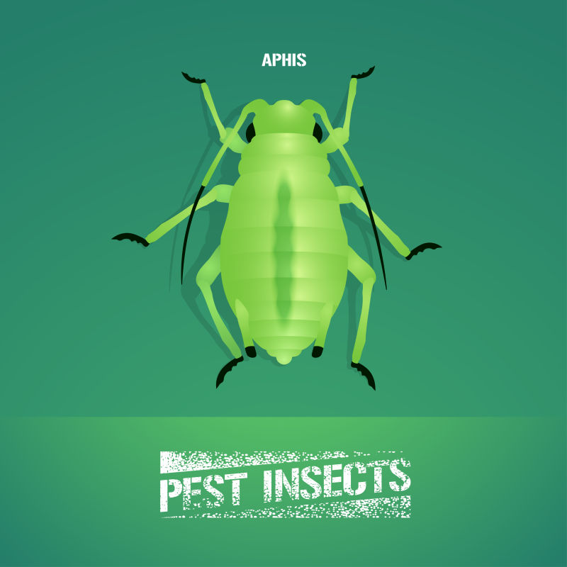 创意矢量现代防治害虫主题宣传海报设计