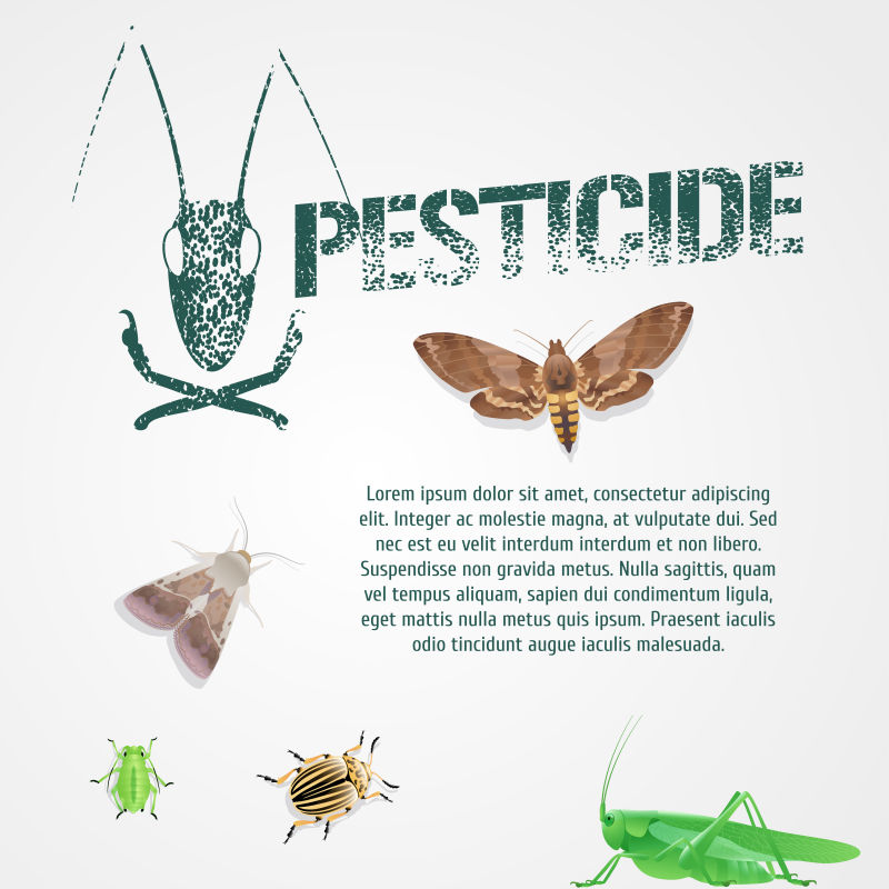 创意矢量现代病虫防治主题海报设计