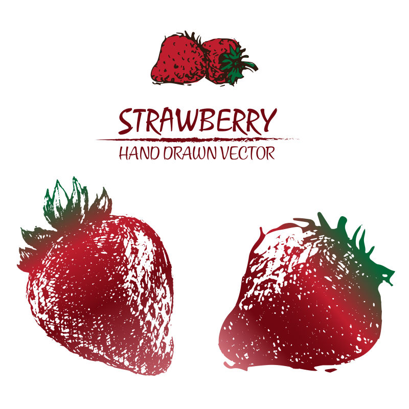 数码矢量彩色草莓画