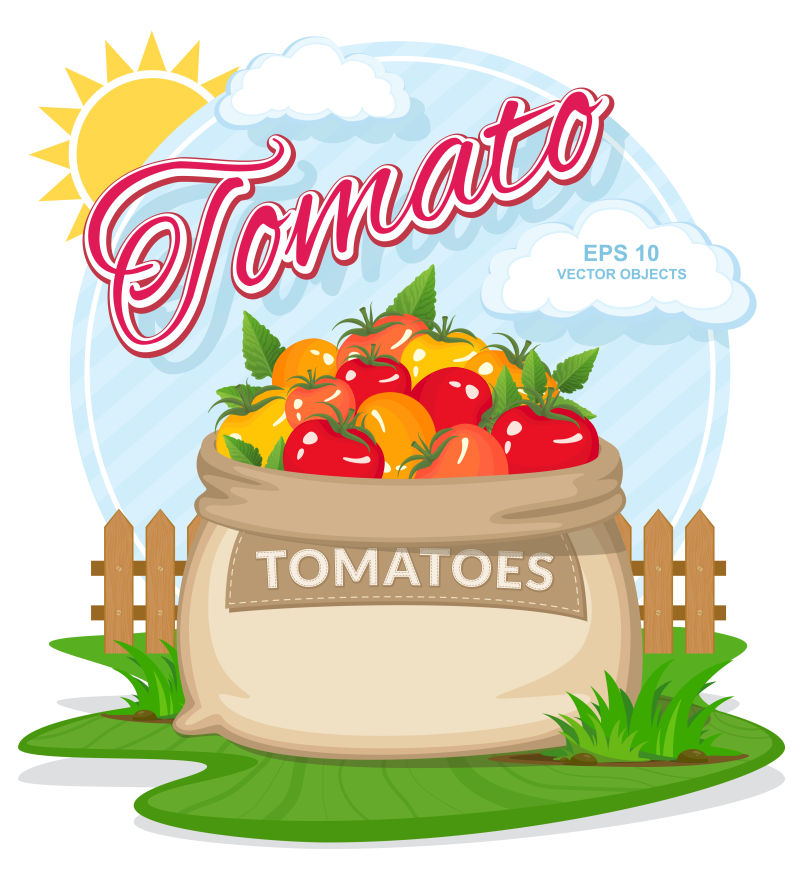 抽象矢量新鲜的番茄插图设计
