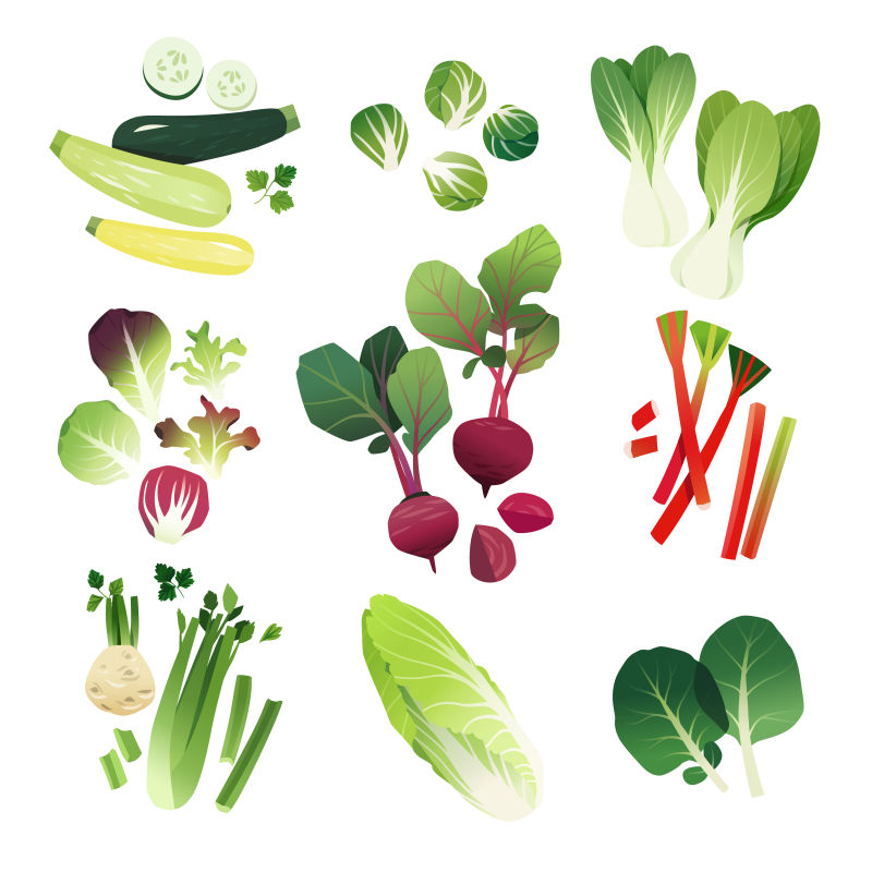创意矢量现代新鲜蔬菜设计插图