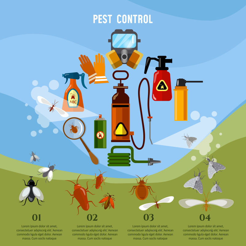 害虫防治服务消灭昆虫信息图