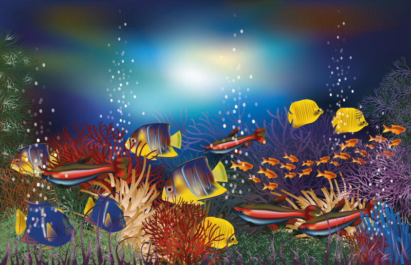 抽象矢量现代海中的热带鱼插图设计