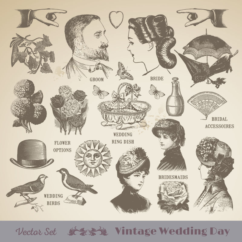 一套婚礼古董设计元素完美的婚礼设计包括邀请函卡剪贴簿相册和插图工作