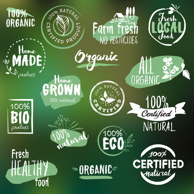 在自然的背景下为有机食品和饮料天然产品餐馆健康食品市场和生产收集手绘标签和徽章矢量插图