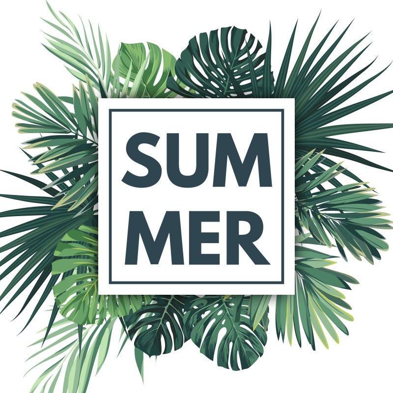 创意夏季热带棕榈叶元素矢量背景设计