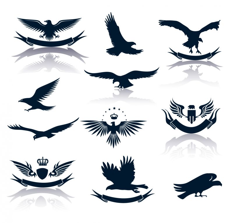 A系列的鹰silhouettes