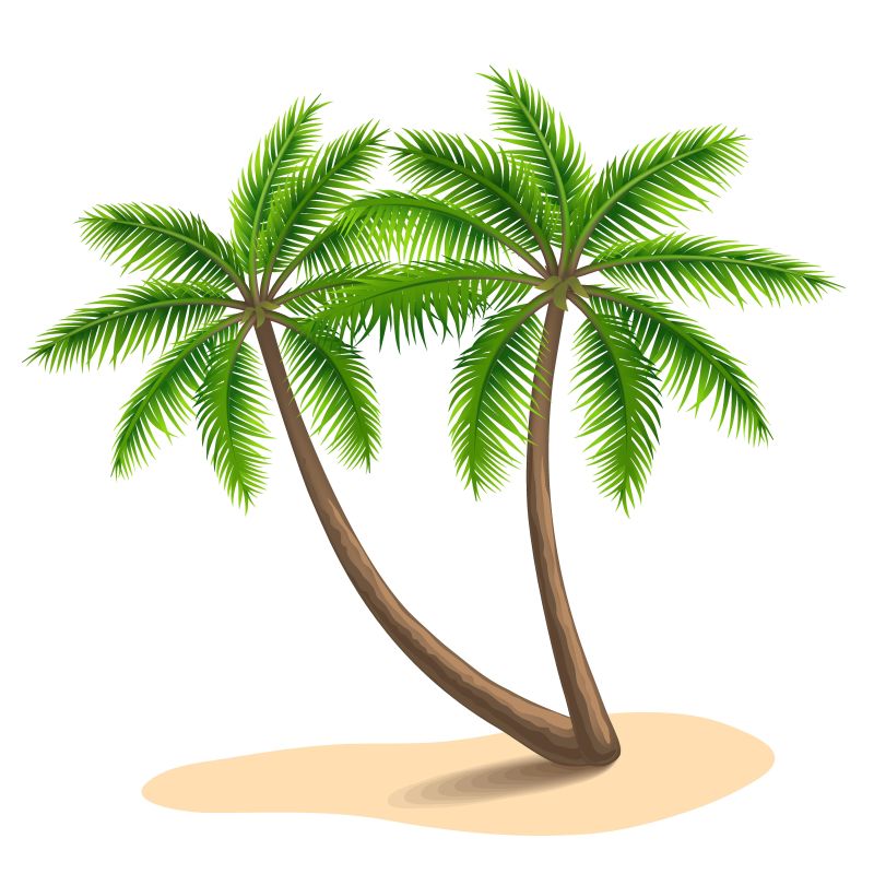 抽象矢量现代棕榈树设计元素