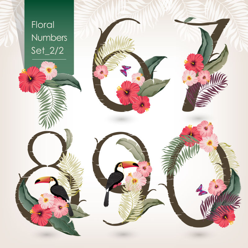 花号收集矢量图-一套美丽的鲜花和数字-婚礼-周年纪念-生日和聚会-横幅海报卡片邀请函小册子和剪贴簿的设计