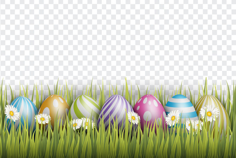 复活节背景逼真的3D彩蛋透明背景上的雏菊花矢量图