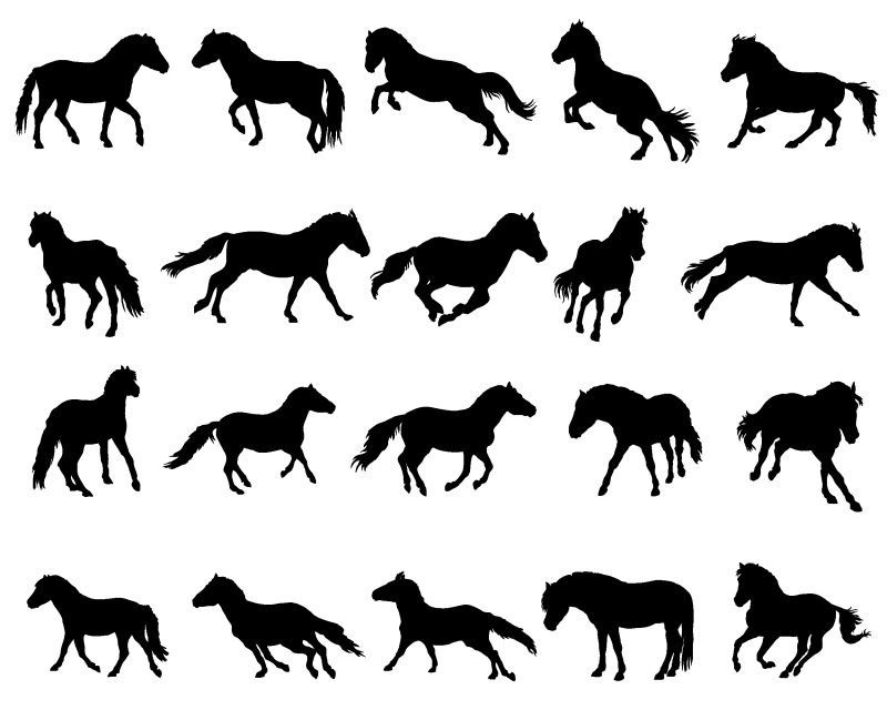 矢量隔离马（挪威峡湾小马）站立小跑和奔跑的轮廓-黑色背景为白色