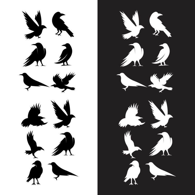 黑色乌鸦和乌鸦标志-黑白相间的背景