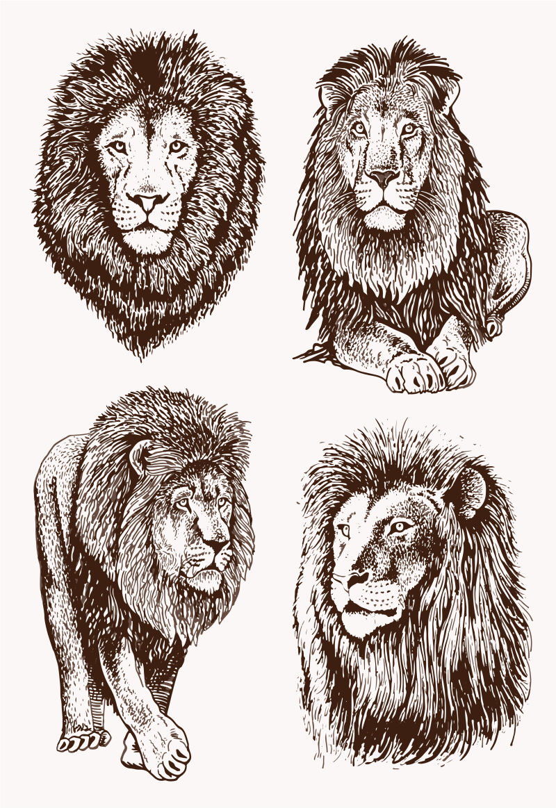 图形复古狮子集-矢量草图
