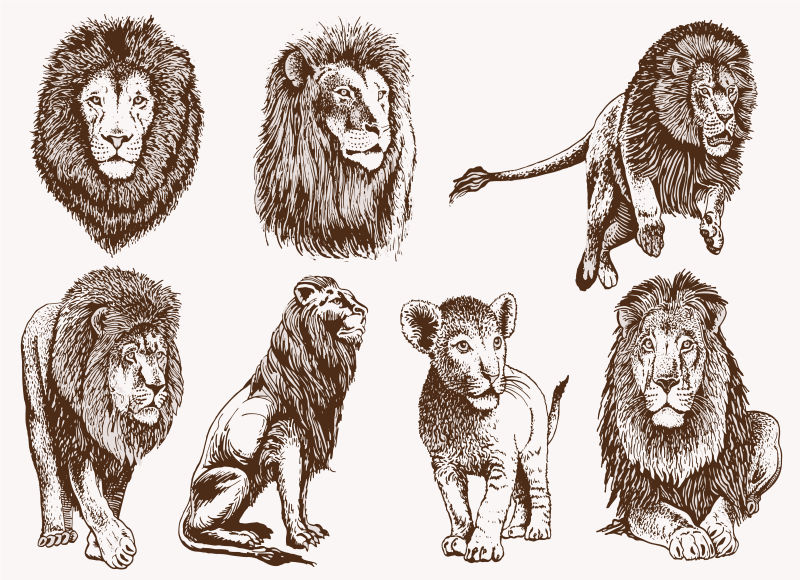 图形复古狮子集-矢量草图