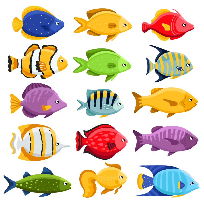 彩色珊瑚礁热带鱼集插图-白底海鱼收藏-卡通水族馆鱼图标