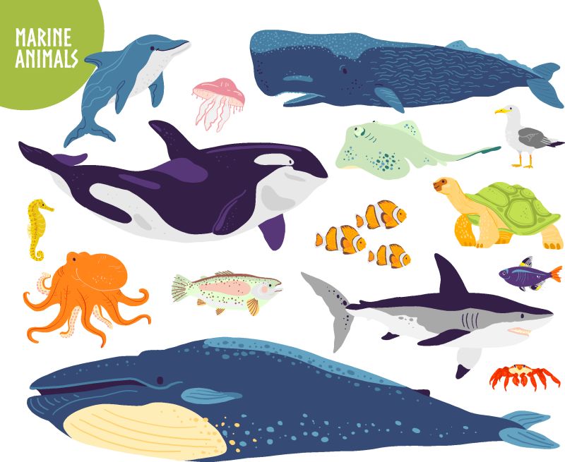 一套手绘扁平可爱的海洋动物：鲸鱼海豚鱼鲨鱼水母-水下野生动物-用于儿童字母表书籍插图信息图表横幅会徽标签等