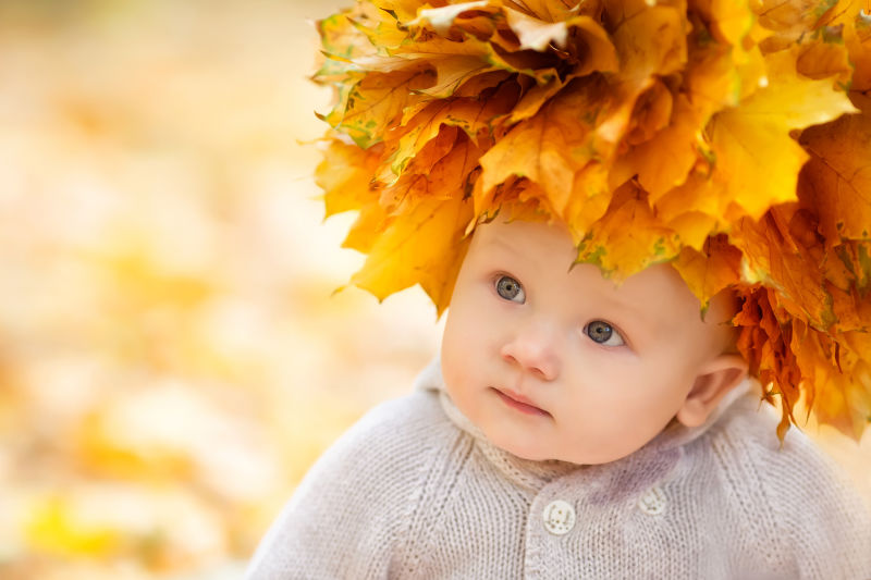 秋天的小男孩橙色的叶子户外