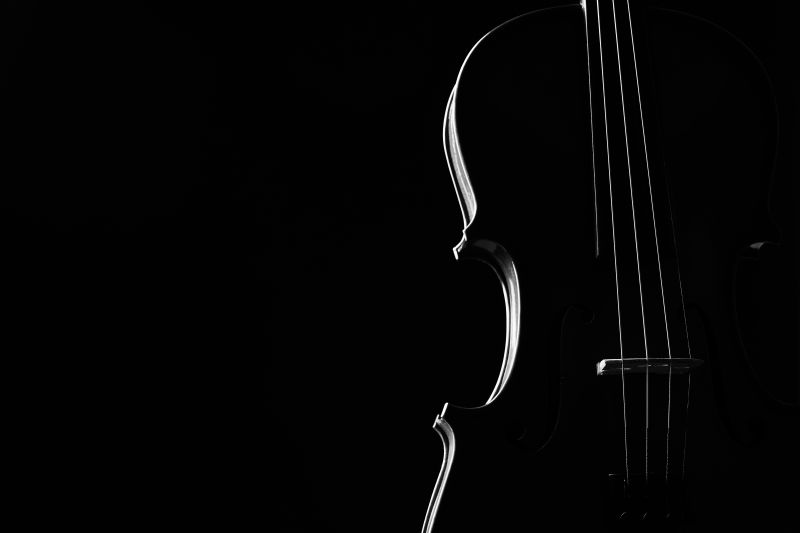 小提琴古典乐器特写镜头弦乐器小提琴孤立在黑色背景与复制空间古典管弦乐器小提琴特写镜头