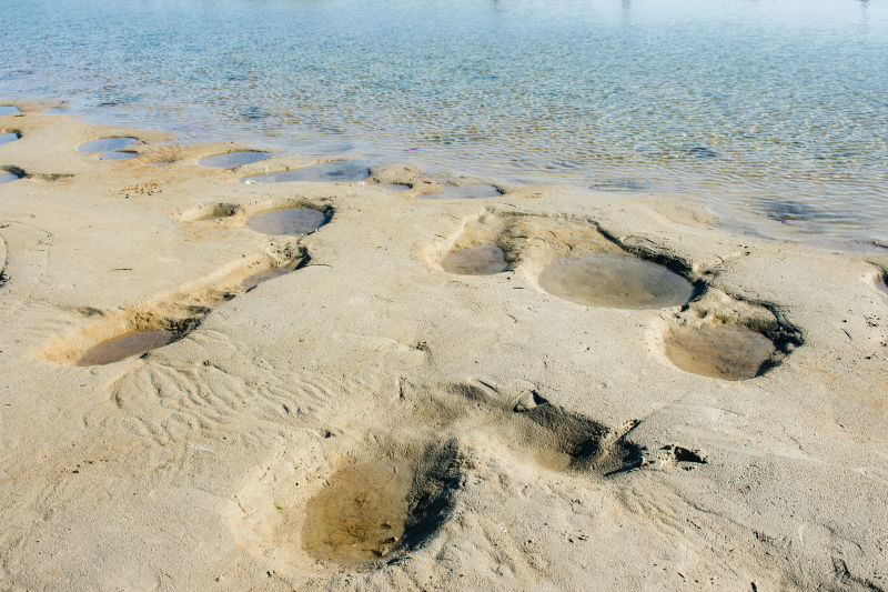 澳大利亚昆士兰北部热带地区凯恩斯附近沙滩上的脚印