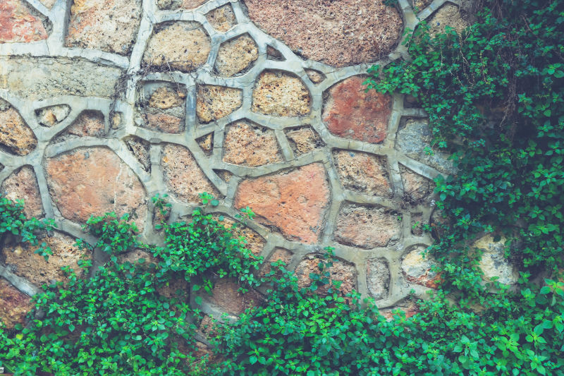 石质鹅卵石墙面绿色植物石背