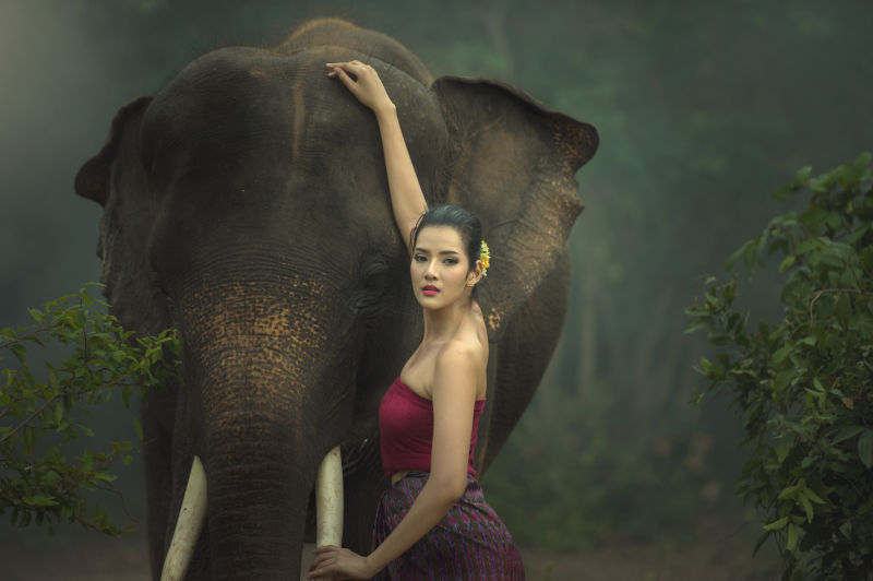穿传统服装的大象和女人