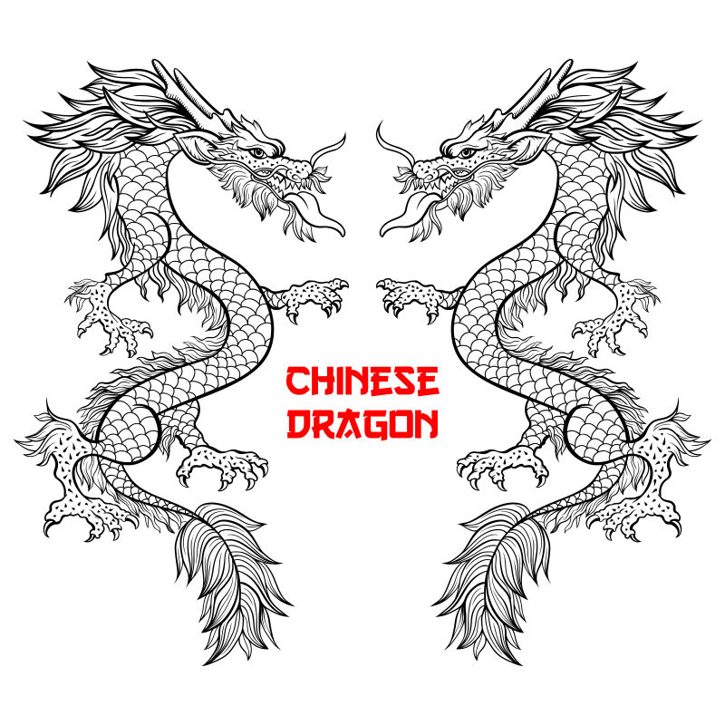两条中国龙的手绘轮廓图